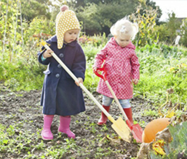 Nursery Fields Forever